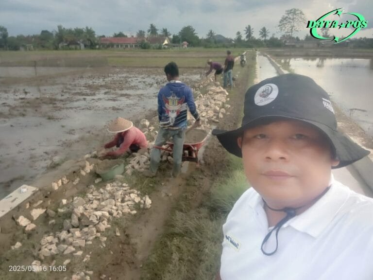 Pekon Pujodadi Bangun TPT di Area Jalan Tani Dengan Angaran DD Tahap 1 Tahun 2025