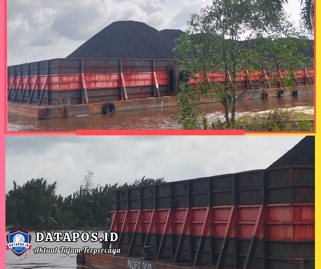 Tambatan Liar di Sungai Lalan Resahkan Warga Desa Karang Agung