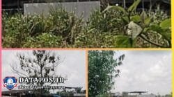 Diduga Gudang BBM Milik S di Belakang Perumahan Golden Premier Indralaya Kembali Aktif