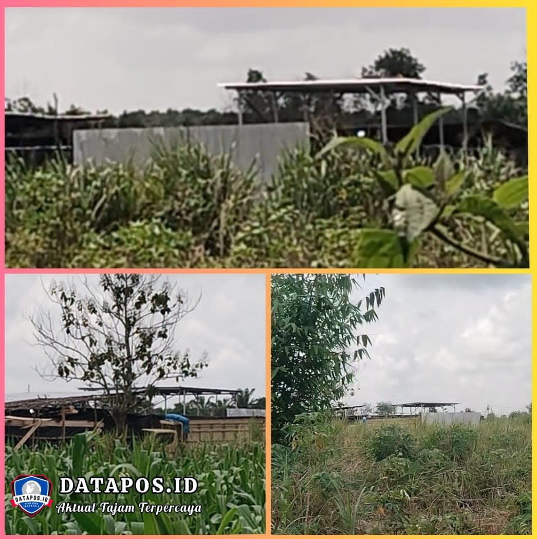 Diduga Gudang BBM Milik S di Belakang Perumahan Golden Premier Indralaya Kembali Aktif