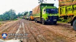 Diduga Abaikan Larangan, Angkutan Batu Bara Kembali Kuasai Jalan Umum Palembang–Jambi