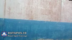 Diduga Dana Perawatan Sarana dan Prasarana SMPN 3 Mesuji Raya Capai Rp121 Juta, Kondisi Sekolah Disorot