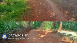 Sudah 20 Tahun Belum Tersentuh, Jalan Penghubung Batu Tegi-Sinar Sekampung Masih Berupa Tanah