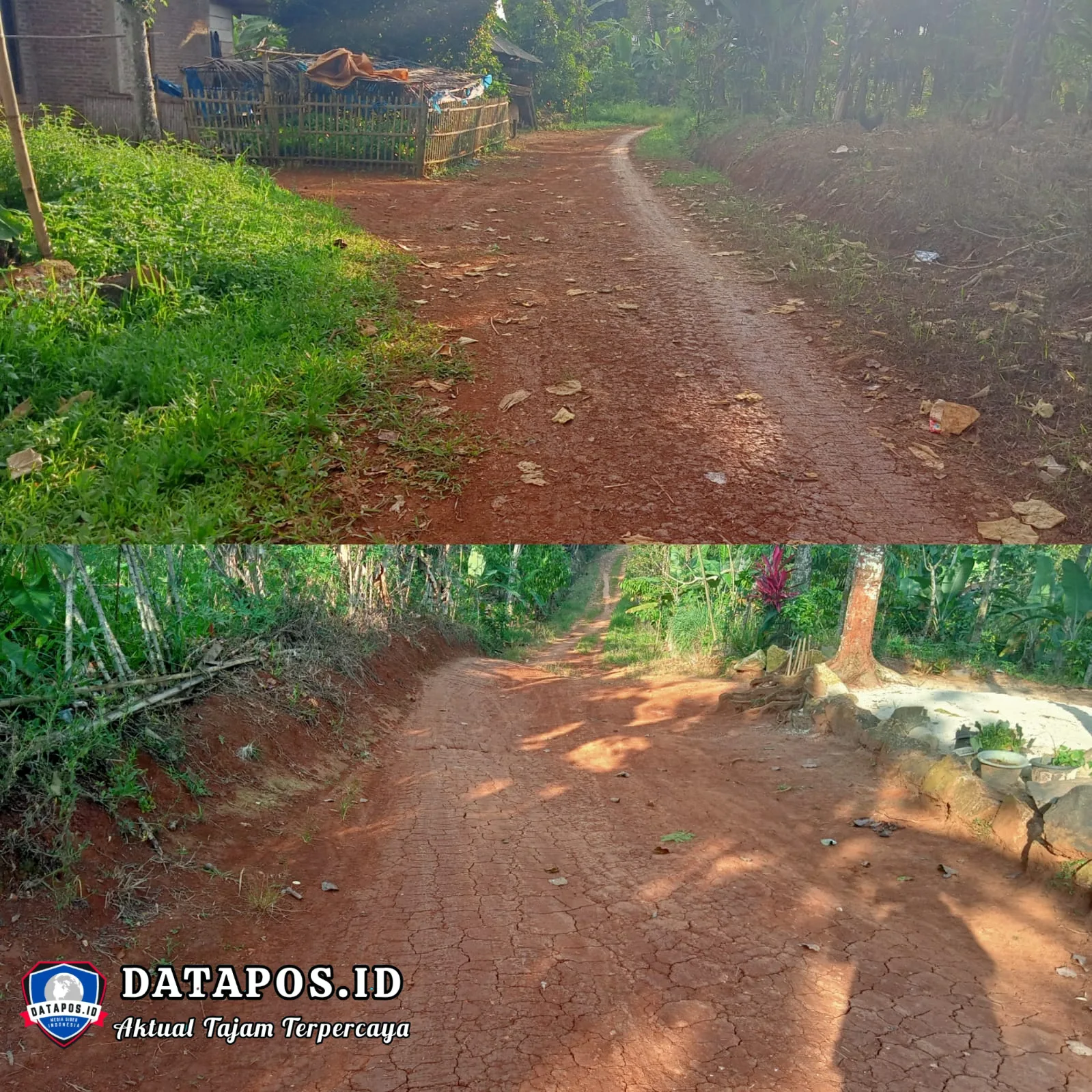 Sudah 20 Tahun Belum Tersentuh, Jalan Penghubung Batu Tegi-Sinar Sekampung Masih Berupa Tanah