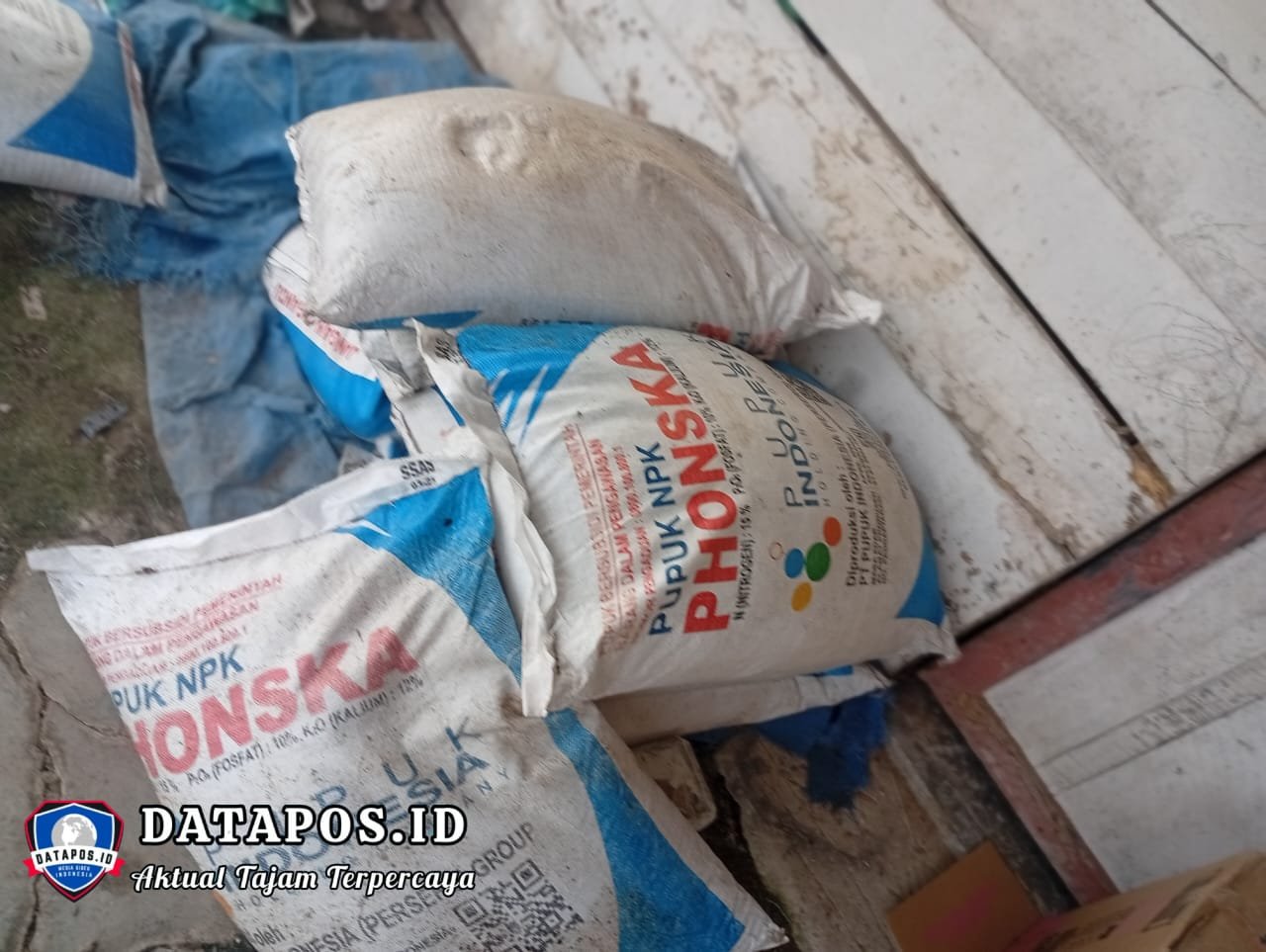 Diduga Ketua Gapoktan (B) Rimau Sungsang lll Naikkan Harga Pupuk Subsidi, Petani Mengeluh