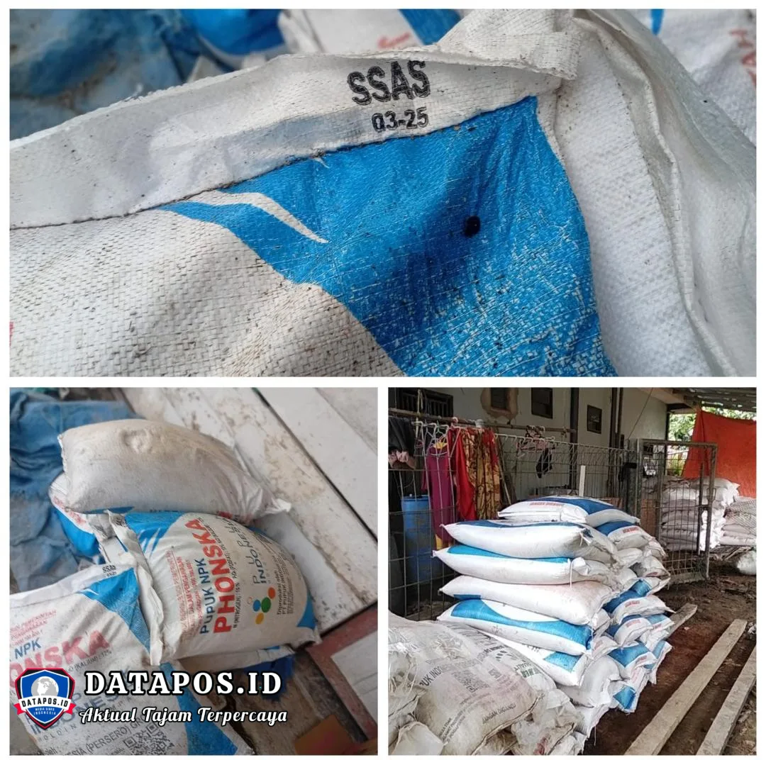 Petani Rimau Sungsang II Keluhkan Harga Pupuk Subsidi Melambung, Produk Tahun 2025 Diduga Masih Dijual pada 2026