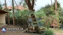Gudang Solar Ilegal di Jalan Yos Sudarso Diduga Milik Dedi Khedom, Dilindungi Oknum TNI